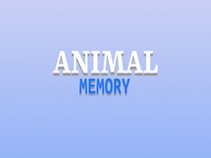 Animal Pairs Memory Challenge