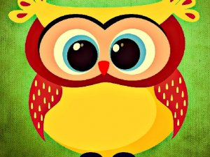 Funny Owls Jigsaw Puzzle Game