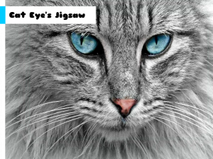 Cat Eye Mosaic Puzzle