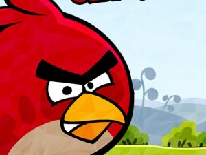 Angry Birds Classic Puzzle Game
