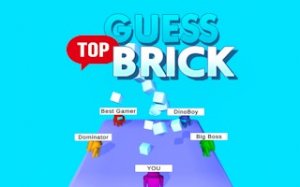 Top Brick Puzzle: Observation Game