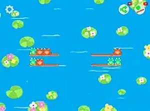 Colorful Frog Arranger